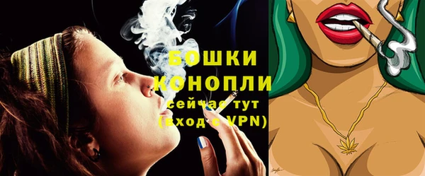 индика Лабытнанги