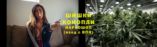 Альфа ПВП Ладушкин