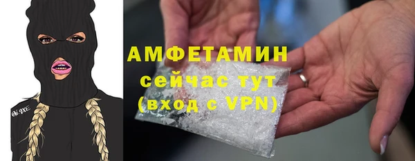 индика Лабытнанги