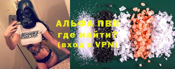 индика Лабытнанги