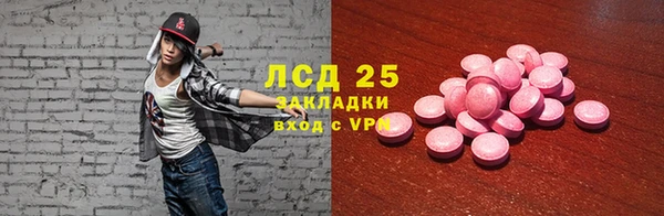 индика Лабытнанги