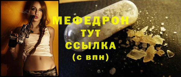 индика Лабытнанги