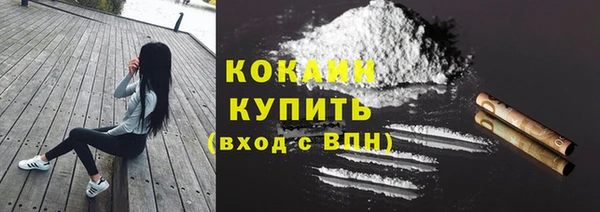 индика Лабытнанги